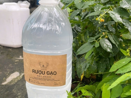 TOP 5 Loại Rượu Ngon Nhất